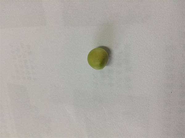 IMG_1099 (Medium) IMG_1099 (Medium)