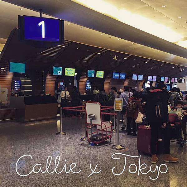 凱莉王東京自由行香草航空07 【東京】香草航空套裝行程♥香草航空搭乘心得
