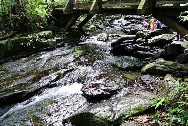 DSC_3495.jpg DSC_3495.jpg