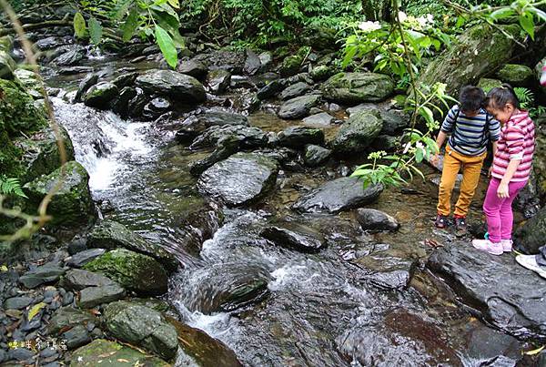 DSC_3522.jpg DSC_3522.jpg