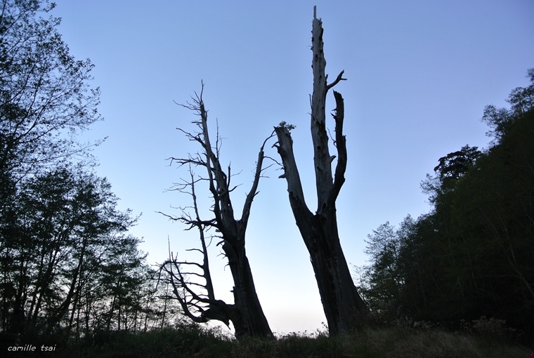 DSC_9045.jpg DSC_9045.jpg