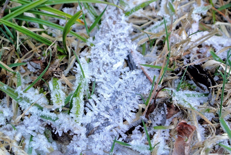 DSC_9104.jpg DSC_9104.jpg