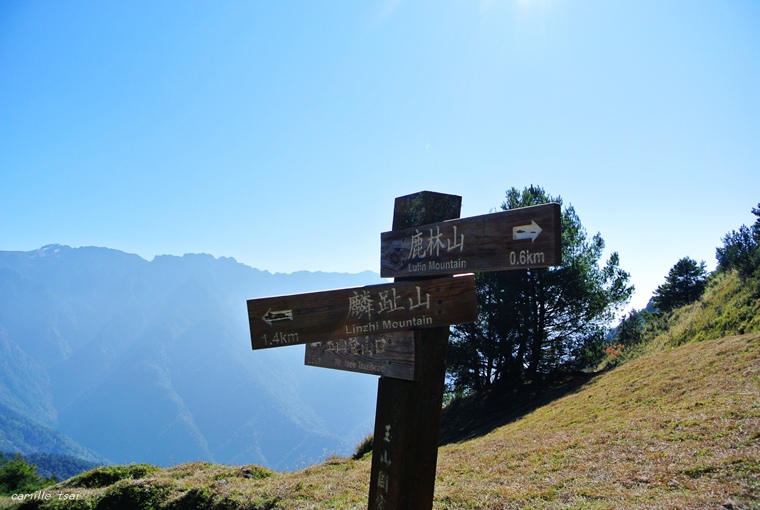 DSC_9266.jpg DSC_9266.jpg