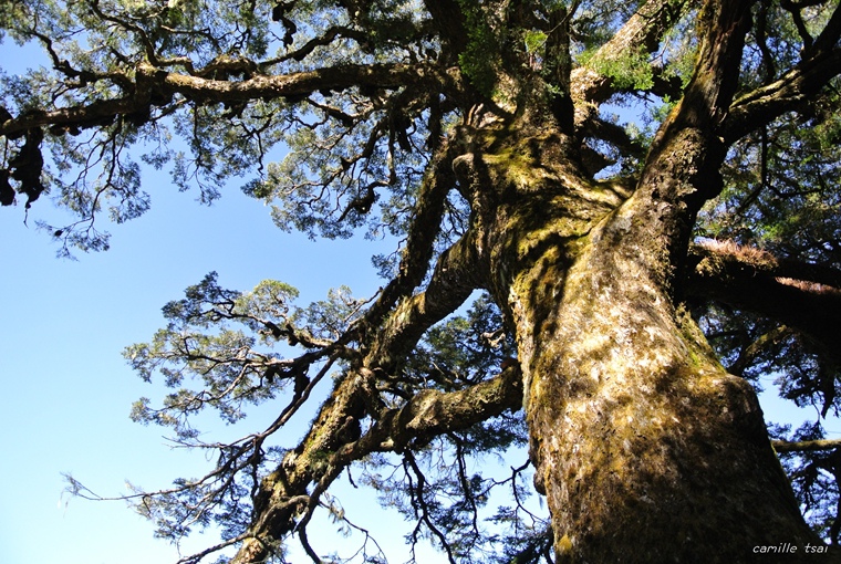 DSC_9537.jpg DSC_9537.jpg