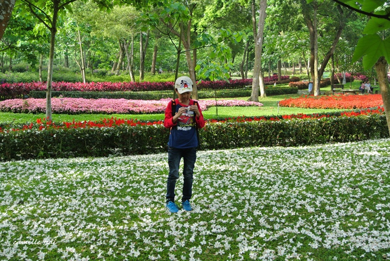 DSC_5849.jpg DSC_5849.jpg