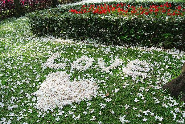 DSC_5860.jpg DSC_5860.jpg