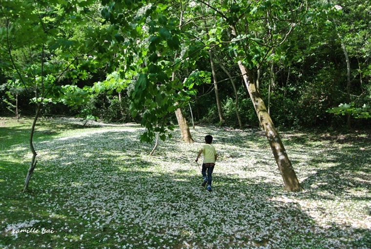 DSC_6065.jpg DSC_6065.jpg