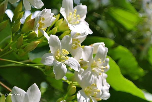 DSC_6137.jpg DSC_6137.jpg