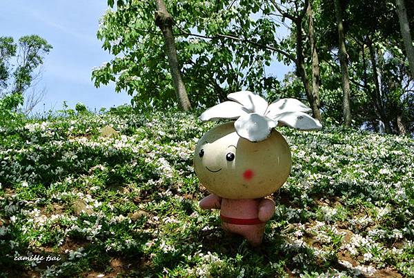 DSC_6194.jpg DSC_6194.jpg