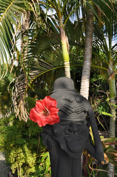DSC_0504.jpg DSC_0504.jpg