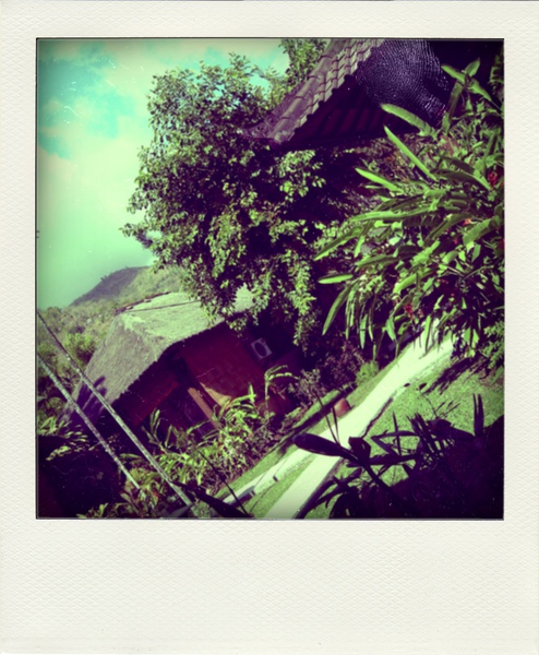 DSCN5345-pola01.jpg DSCN5345-pola01.jpg
