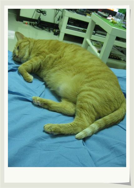 80岁老头日90后美女,开原出租车,流氓老师有漫