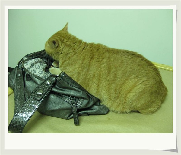 80岁老头日90后美女,开原出租车,流氓老师有漫