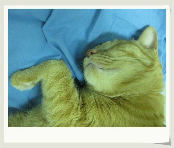 80岁老头日90后美女,开原出租车,流氓老师有漫