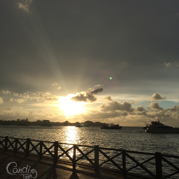 IMG_1990.JPG IMG_1990.JPG