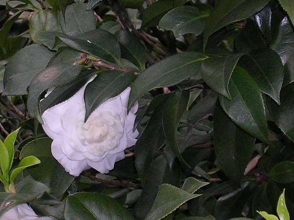 天元宮半日遊 040.jpg