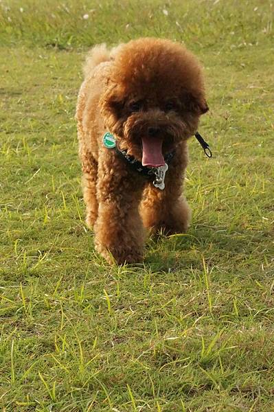 DSC05071.JPG DSC05071.JPG