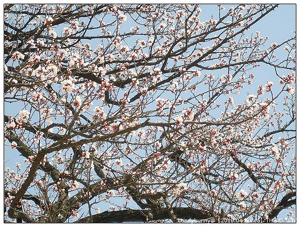 39.【2010.04 Korea】THIRD DAY.JPG