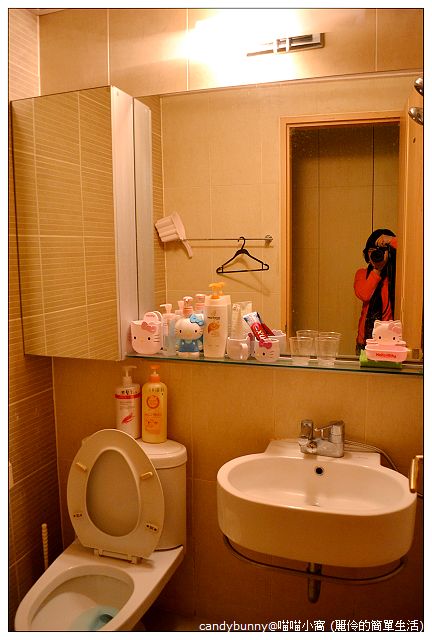 03.喵喵小窩 (麗伶的簡單生活).JPG