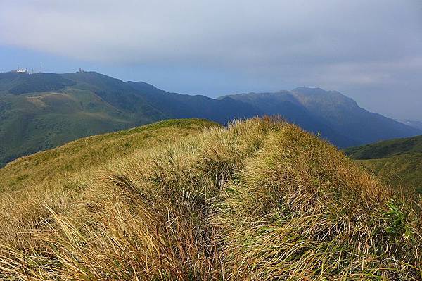 13 (2).jpg 13 (2).jpg