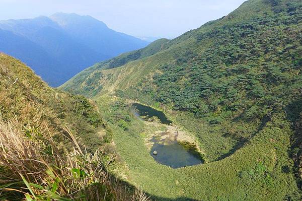 13 (1).jpg 13 (1).jpg