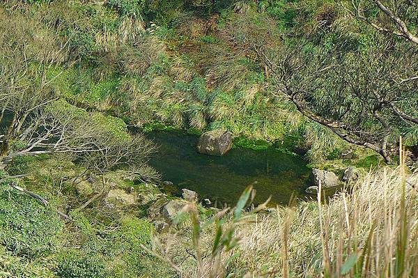 13 (6).jpg 13 (6).jpg