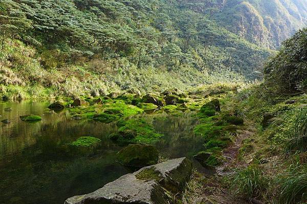 13 (8).jpg 13 (8).jpg