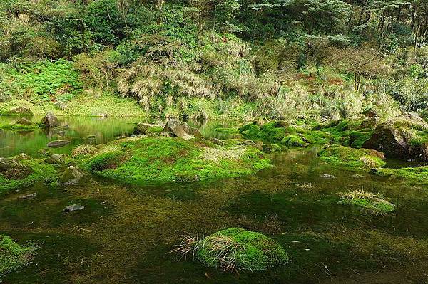 13 (10).jpg 13 (10).jpg