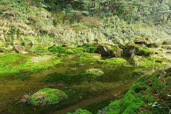 13 (11).jpg 13 (11).jpg