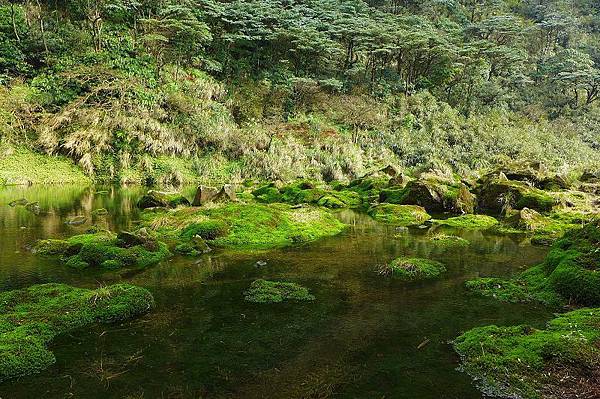 13 (9).jpg 13 (9).jpg