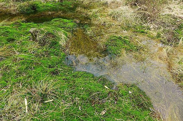 13 (15).jpg 13 (15).jpg