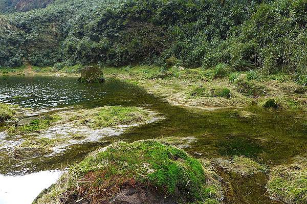 13 (16).jpg 13 (16).jpg