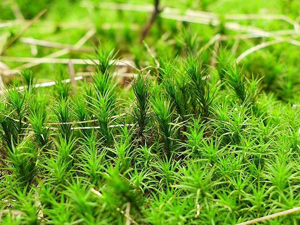 13 (17).jpg 13 (17).jpg