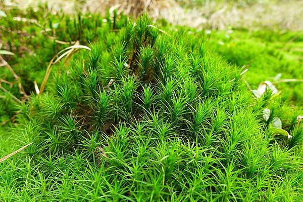 13 (19).jpg 13 (19).jpg