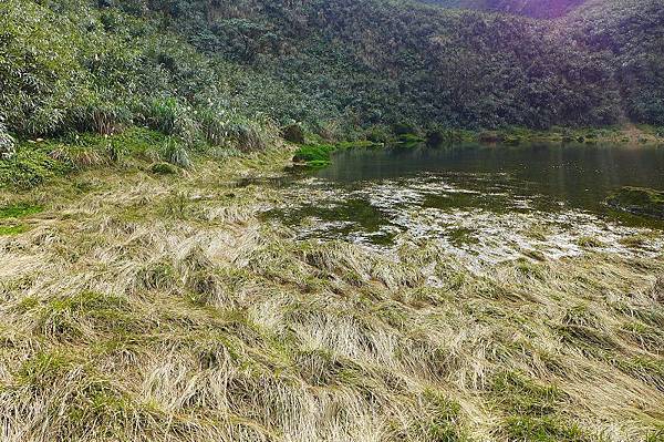 13 (18).jpg 13 (18).jpg