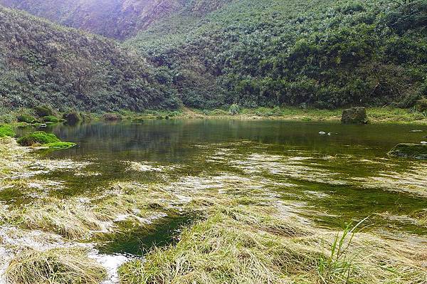 13 (20).jpg 13 (20).jpg