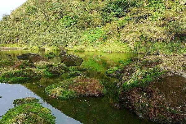 13 (22).jpg 13 (22).jpg