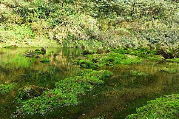 13 (24).jpg 13 (24).jpg