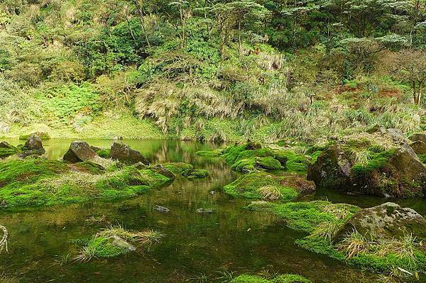 13 (23).jpg 13 (23).jpg