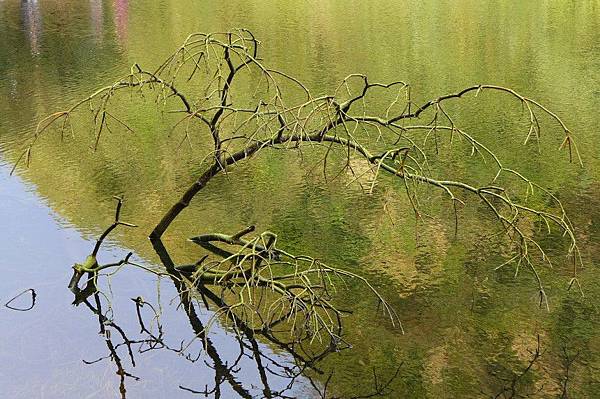 13 (25).jpg 13 (25).jpg