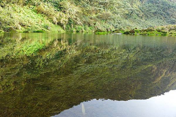 13 (26).jpg 13 (26).jpg