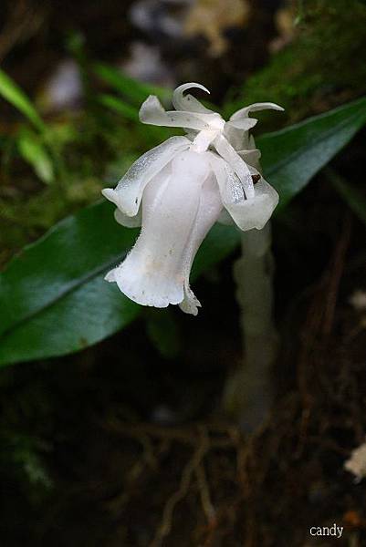 IMG_6468.jpg IMG_6468.jpg