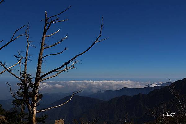 IMG_0614.JPG IMG_0614.JPG