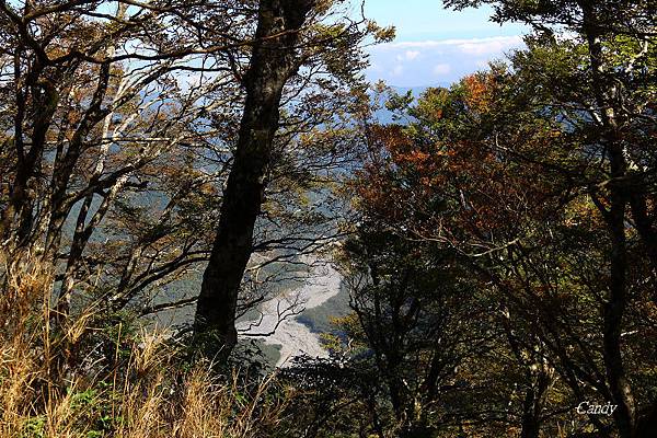 IMG_0647.JPG IMG_0647.JPG