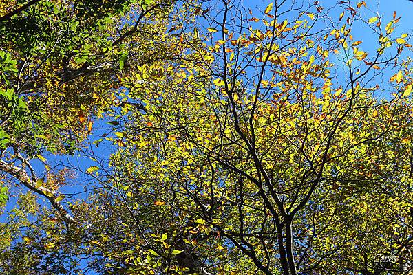 IMG_0640.JPG IMG_0640.JPG