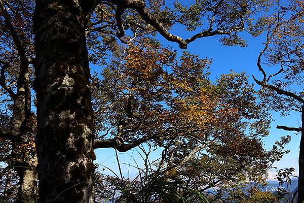 IMG_0669.JPG IMG_0669.JPG