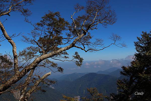 IMG_0786.JPG IMG_0786.JPG