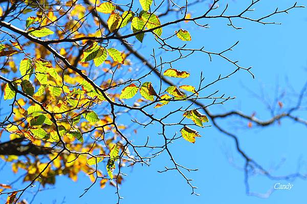 IMG_0857.JPG IMG_0857.JPG