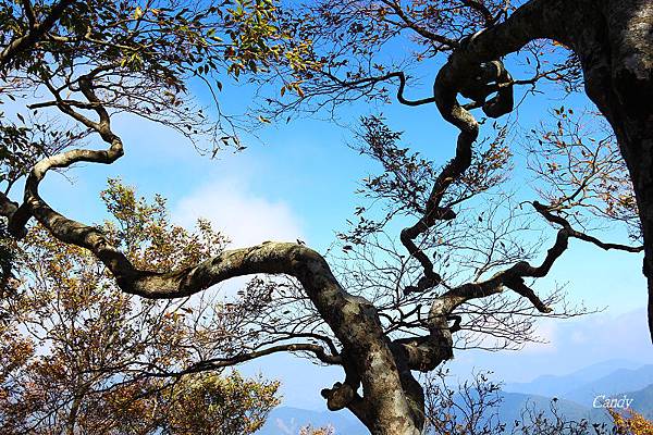 IMG_0891.JPG IMG_0891.JPG