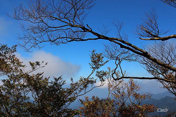 IMG_0902.JPG IMG_0902.JPG